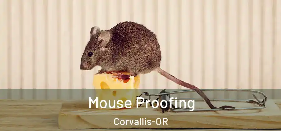 Mouse Proofing Corvallis-OR