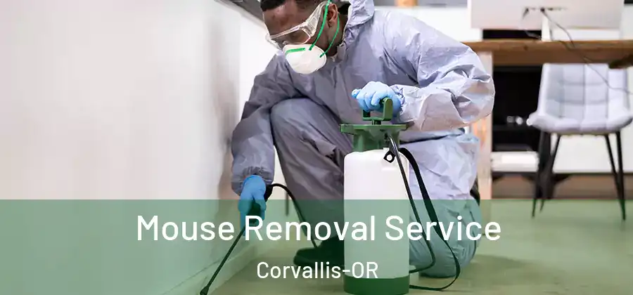 Mouse Removal Service Corvallis-OR