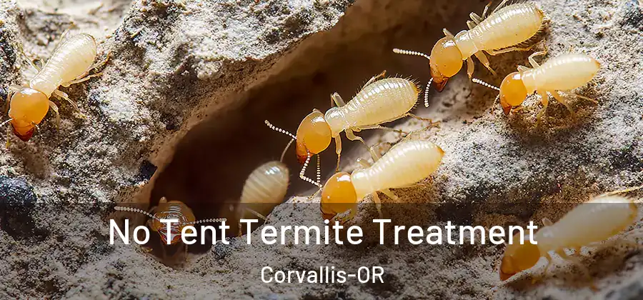  No Tent Termite Treatment Corvallis-OR