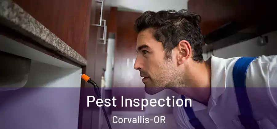 Pest Inspection Corvallis-OR
