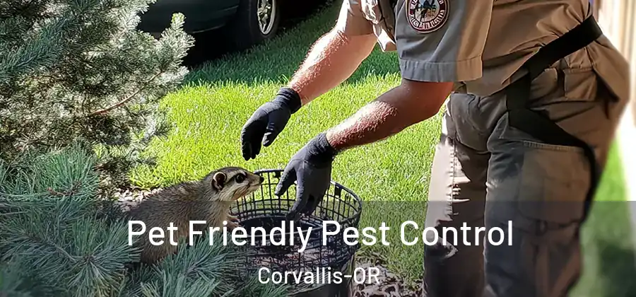  Pet Friendly Pest Control Corvallis-OR
