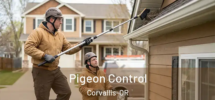  Pigeon Control Corvallis-OR