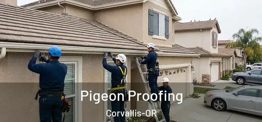  Pigeon Proofing Corvallis-OR