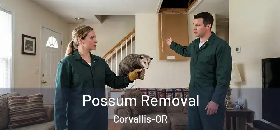  Possum Removal Corvallis-OR