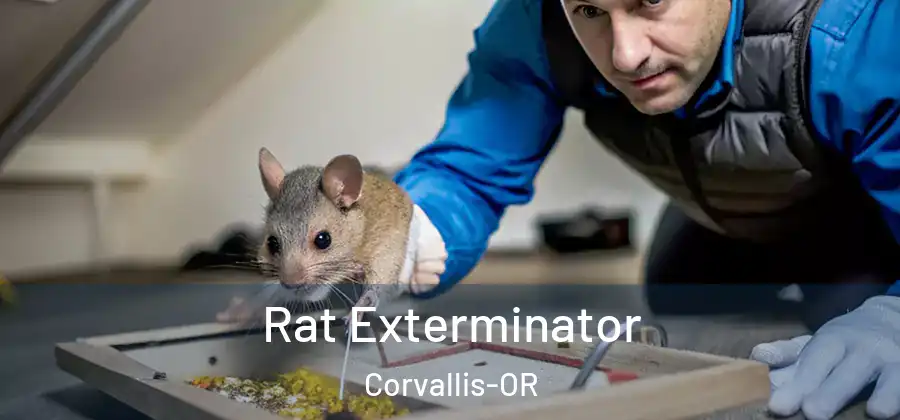  Rat Exterminator Corvallis-OR