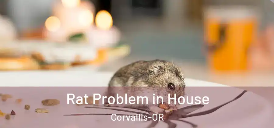 Rat Problem in House Corvallis-OR