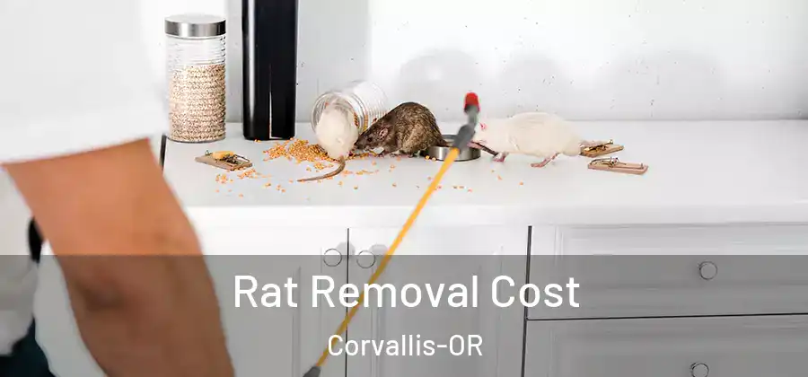 Rat Removal Cost Corvallis-OR