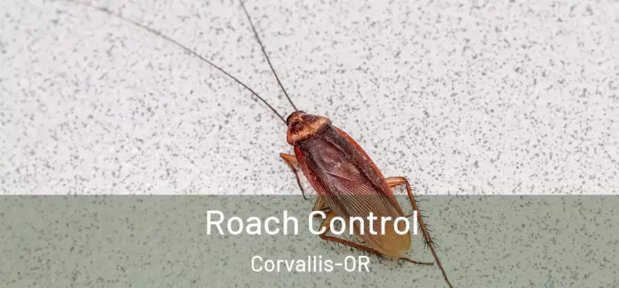  Roach Control Corvallis-OR