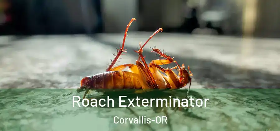  Roach Exterminator Corvallis-OR