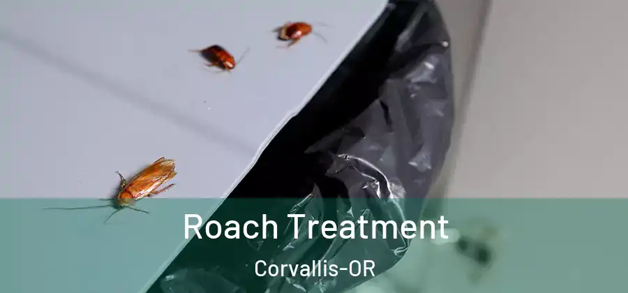 Roach Treatment Corvallis-OR