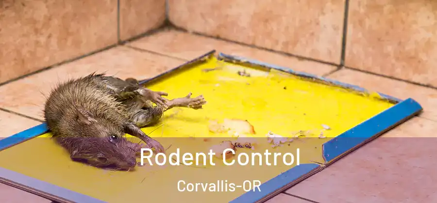 Rodent Control Corvallis-OR