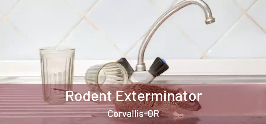 Rodent Exterminator Corvallis-OR