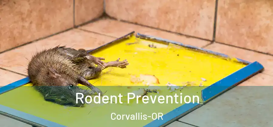 Rodent Prevention Corvallis-OR