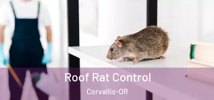  Roof Rat Control Corvallis-OR