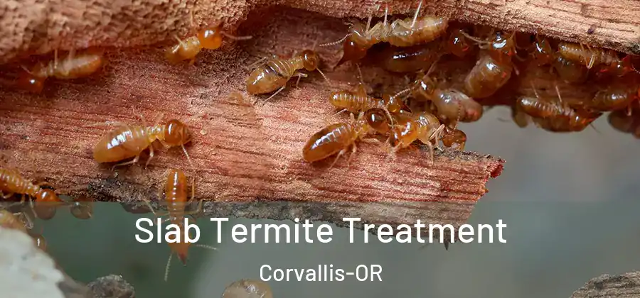  Slab Termite Treatment Corvallis-OR