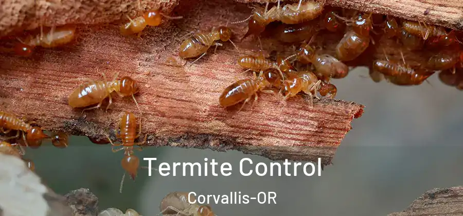 Termite Control Corvallis-OR