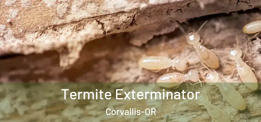 Termite Exterminator Corvallis-OR