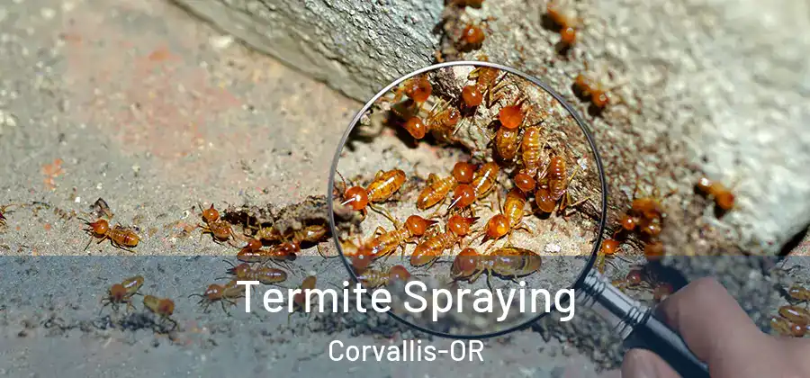 Termite Spraying Corvallis-OR