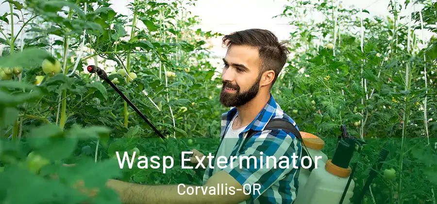  Wasp Exterminator Corvallis-OR