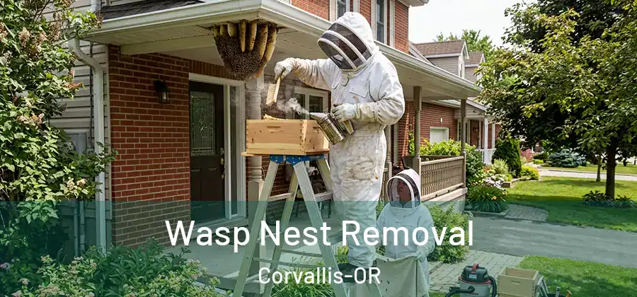  Wasp Nest Removal Corvallis-OR