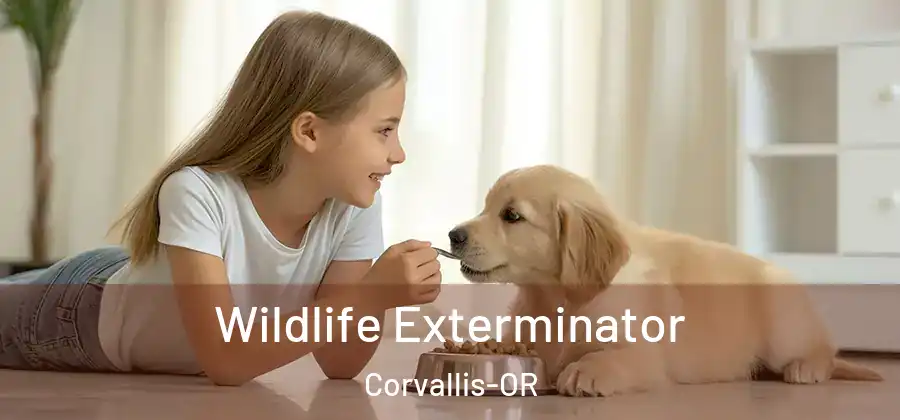 Wildlife Exterminator Corvallis-OR