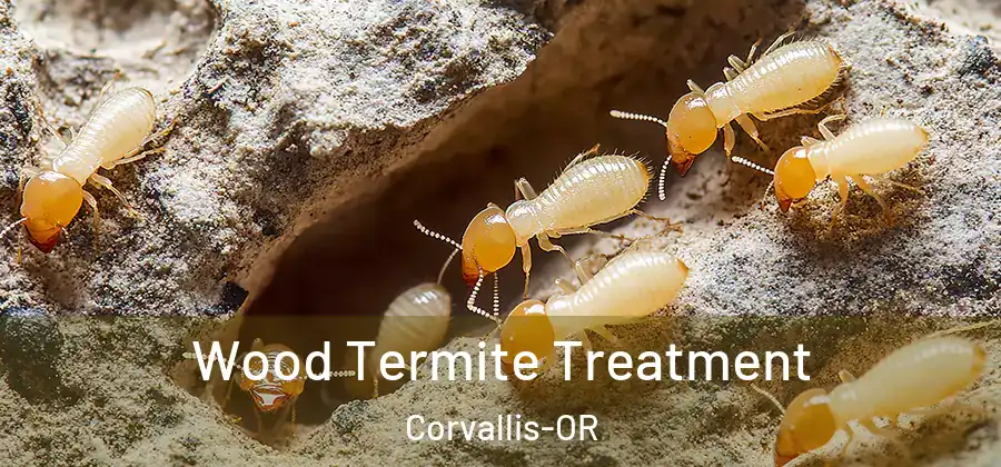  Wood Termite Treatment Corvallis-OR