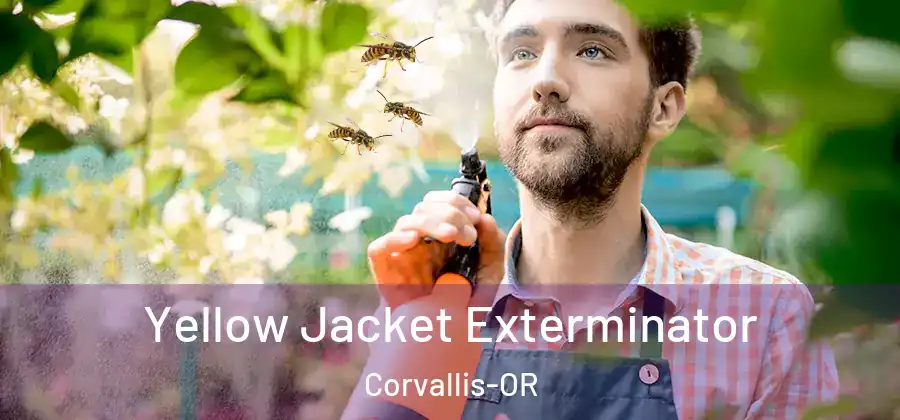  Yellow Jacket Exterminator Corvallis-OR